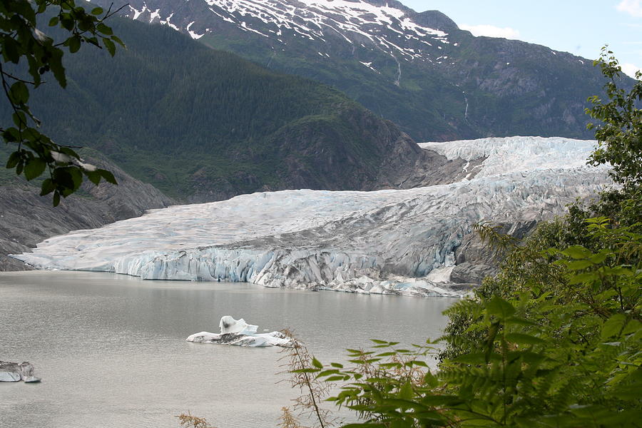 Mendenhall Glacier Photograph by Betty-Anne McDonald