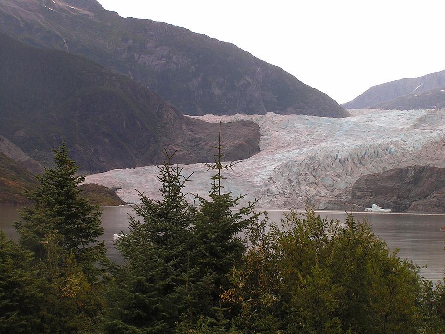 Mendenhall glacier from the path. Photograph by Annika Farmer