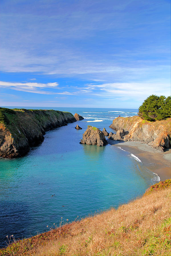 Mendocino Cliffs Photograph by Joe Fernandez - Fine Art America