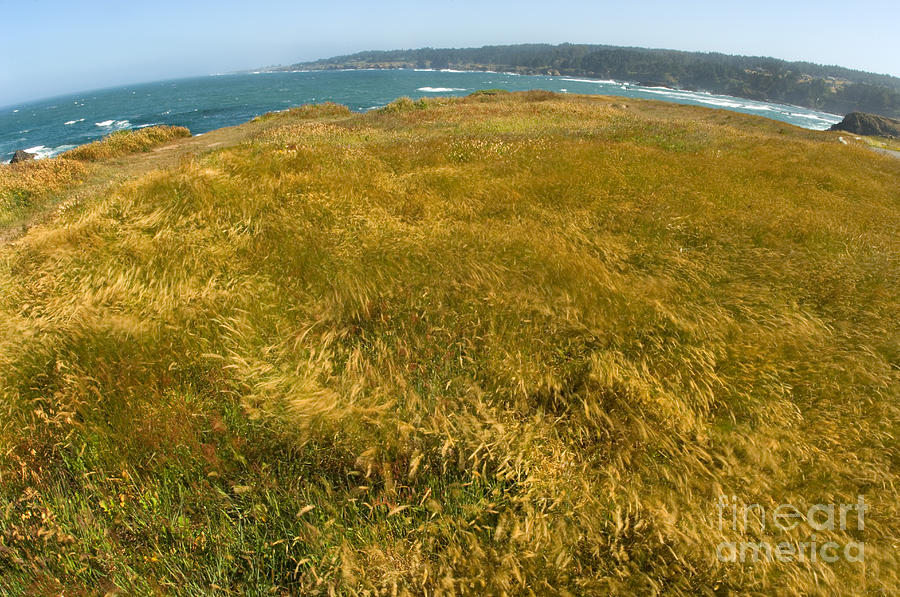 Mendocino Headlands, California Photograph by Ron Sanford Mendocino Headlands, California Photograph by Ron Sanford