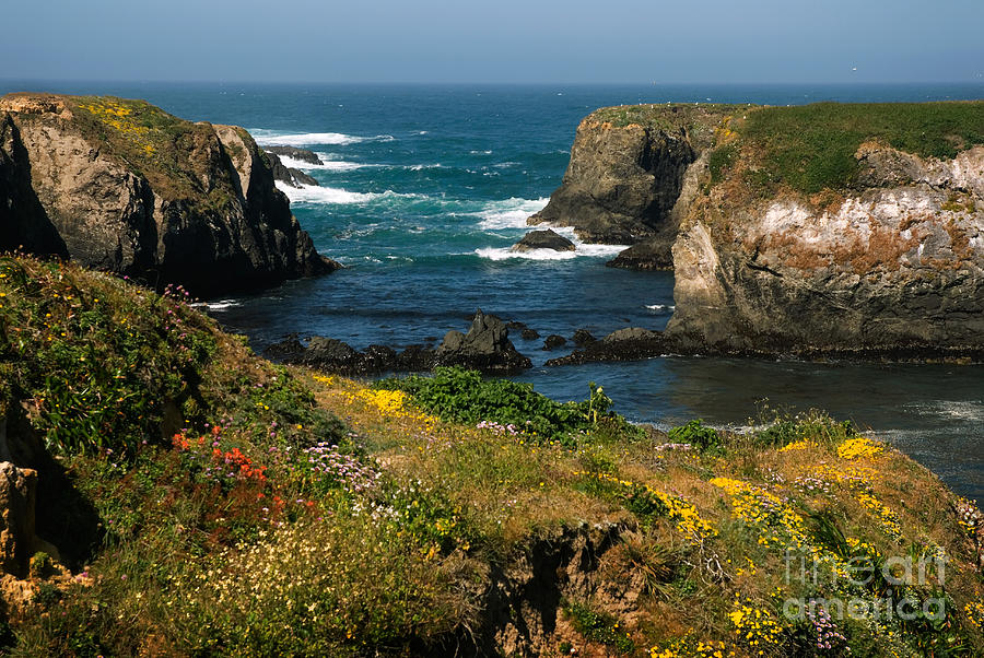 Mendocino Headlands In Spring Photograph by Ron Sanford