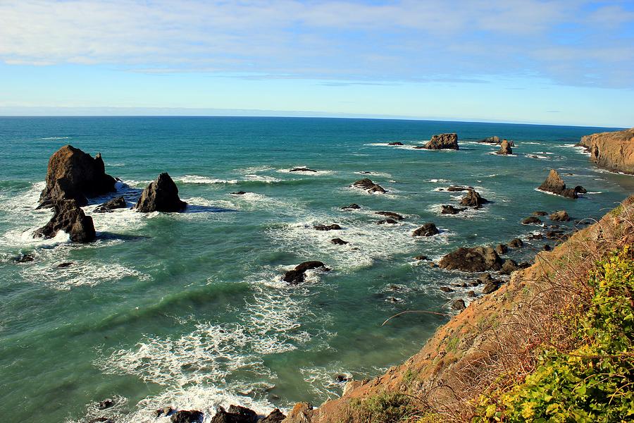 Mendocino Rocks Photograph by Leigh Meredith