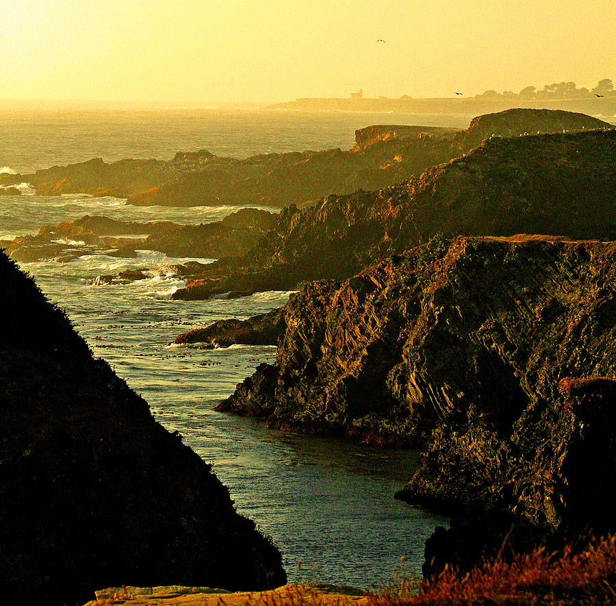 Mendocino Rocky Shore Photograph by Joseph Coulombe