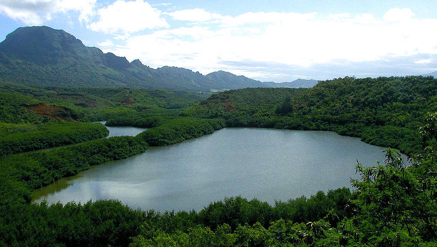 Mountain Photograph - Endangered Menehune Fishpond by Jean Hall