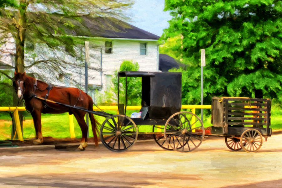 Mennonite Horse and Buggy Painting by Michael Pickett