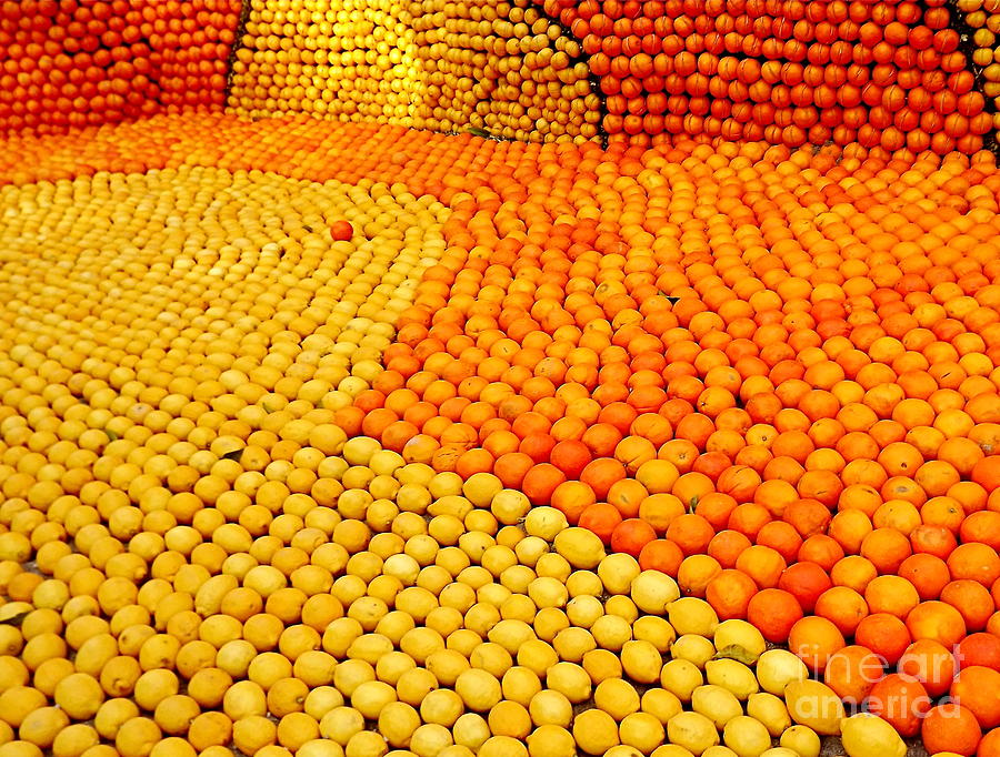 Winter Photograph - Menton Citrus Festival by France  Art