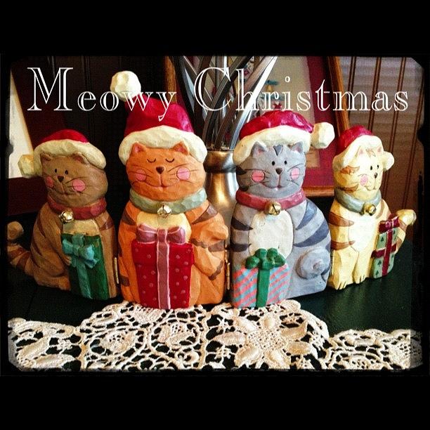 Cat Photograph - Meowy Christmas! Santa Claws Is On His by Teresa Mucha