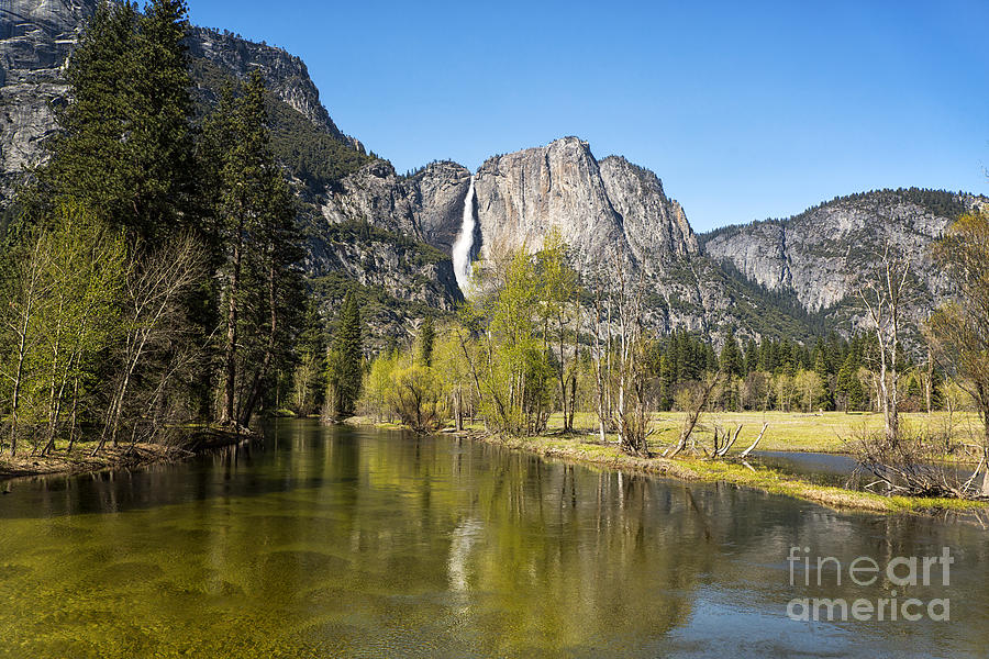 Merced River and Yosemite Falls Photograph by Jane Rix