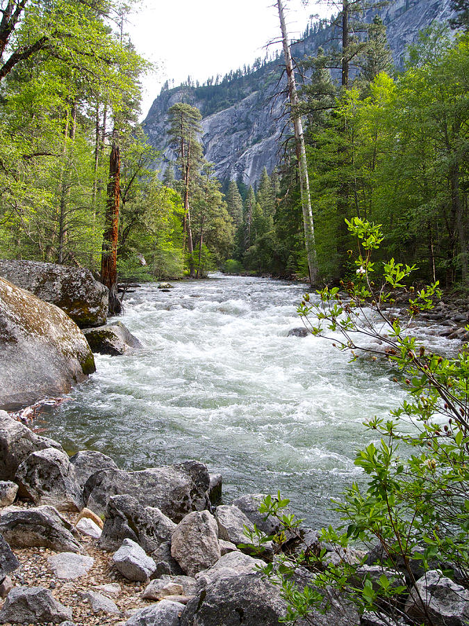 Merced River in Yosmeite National Park,California Photograph by Ruth Hager