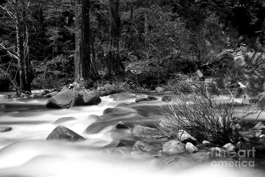 Merced River Photograph by Jason Abando
