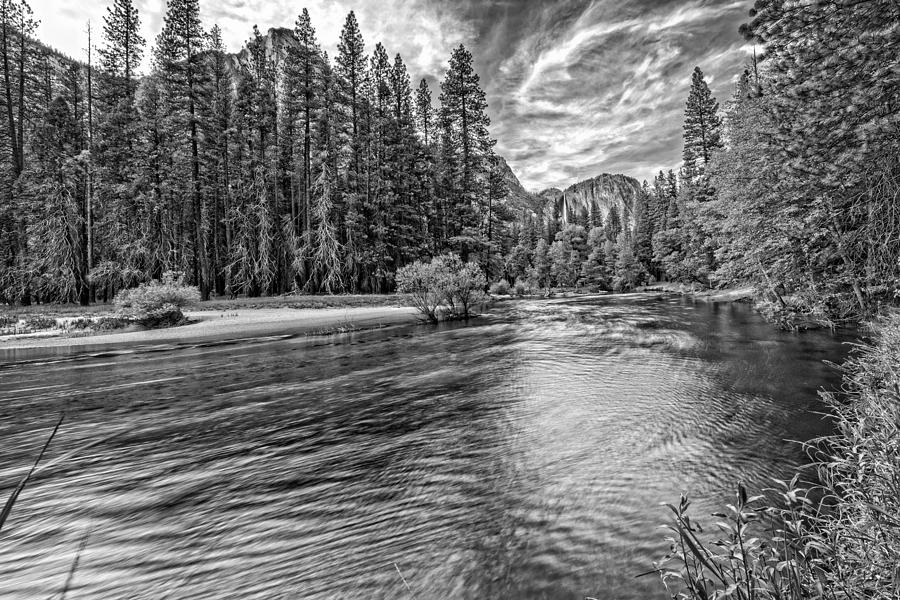 Yosemite National Park Photograph - Merced River View Black and White by Bill Boehm