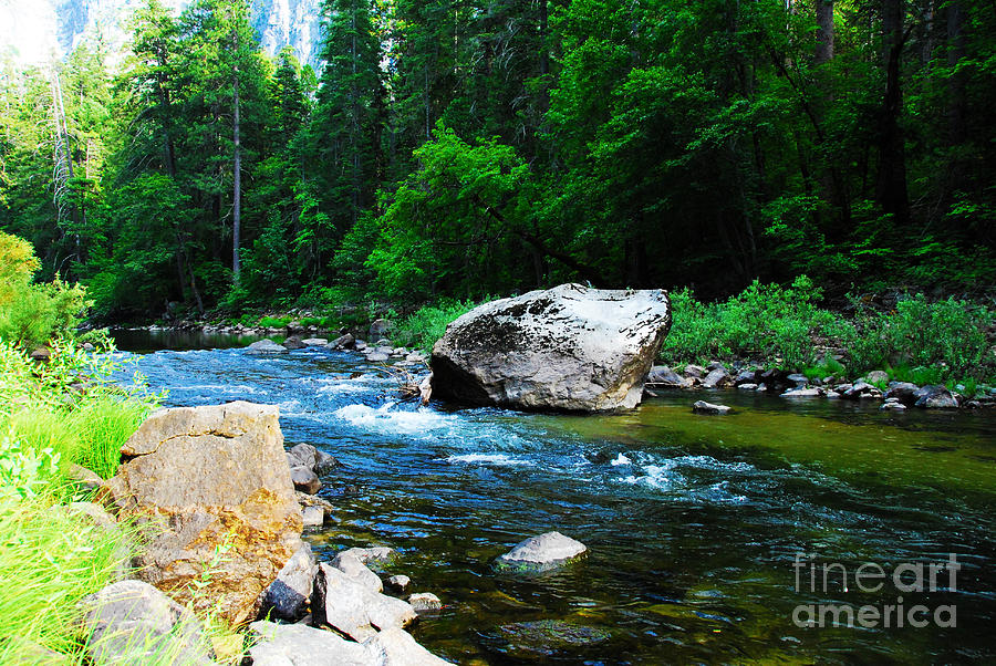 Yosemite National Park Photograph - Merced River - Yosemite National Park by Laraine C Photography