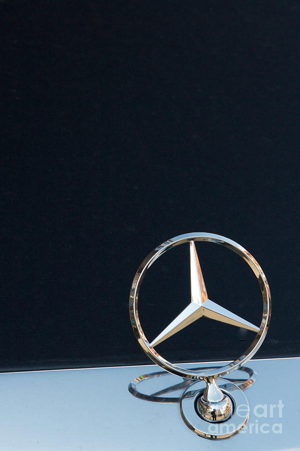 Mercedes Star on a Polished Hood Photograph by Jannis Werner - Fine Art ...