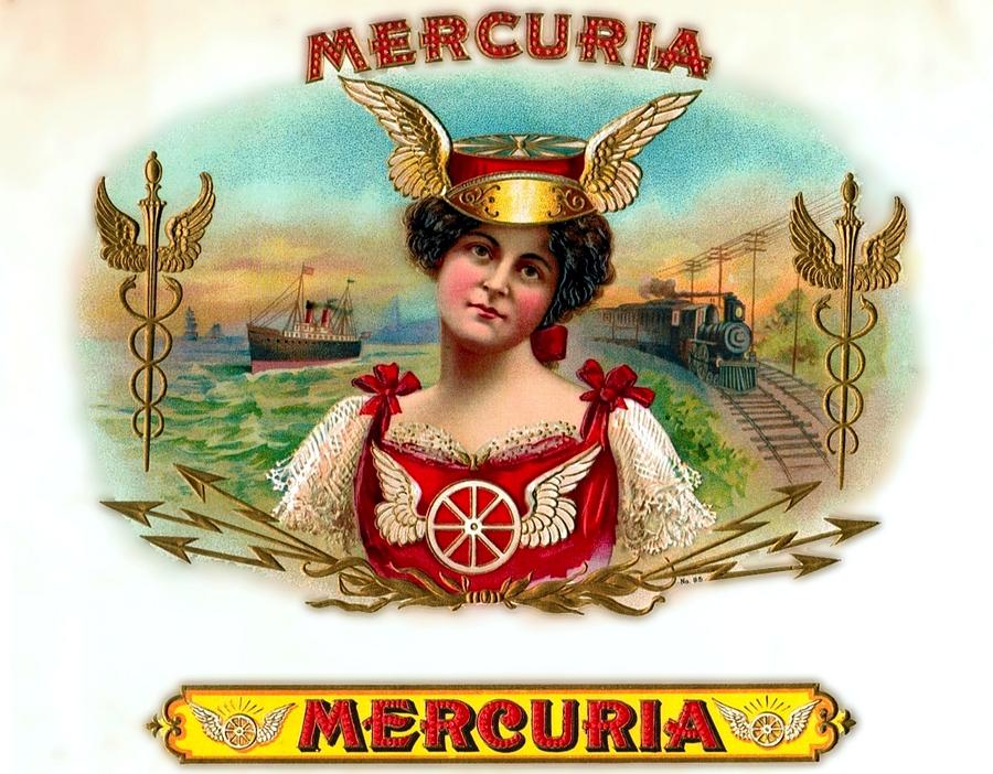 Mercuria Photograph by John Madison