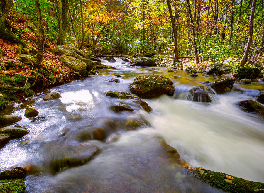 Merging streams Photograph by Thomas Szajner - Fine Art America