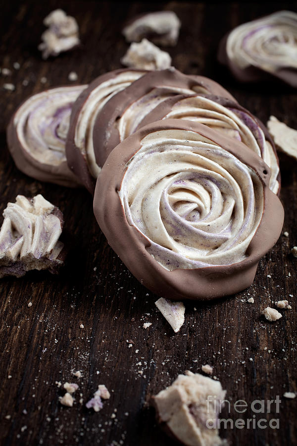 Meringue rose Photograph by Kati Finell
