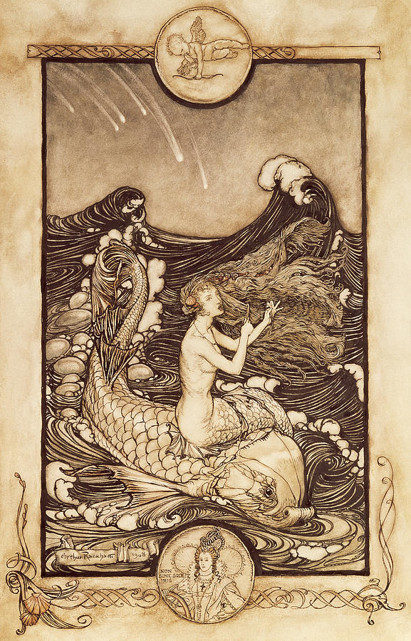 Arthur Rackham Drawing - Mermaid And Dolphin From A Midsummer Nights Dream by Arthur Rackham