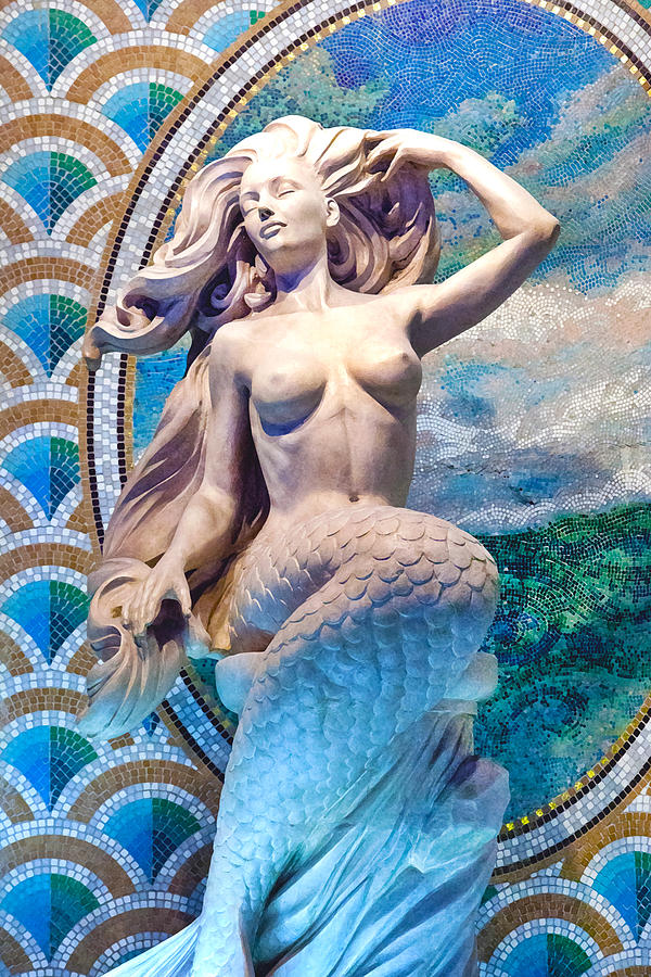 Mermaid Photograph by Art Block Collections