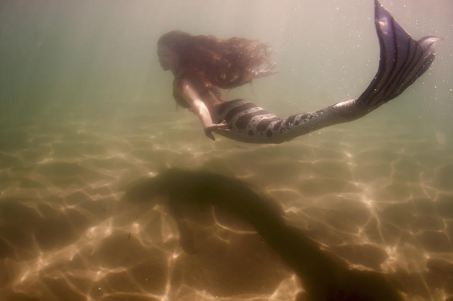 Mermaid Photograph - Mermaid Near the Ocean Floor by Greg Amptman