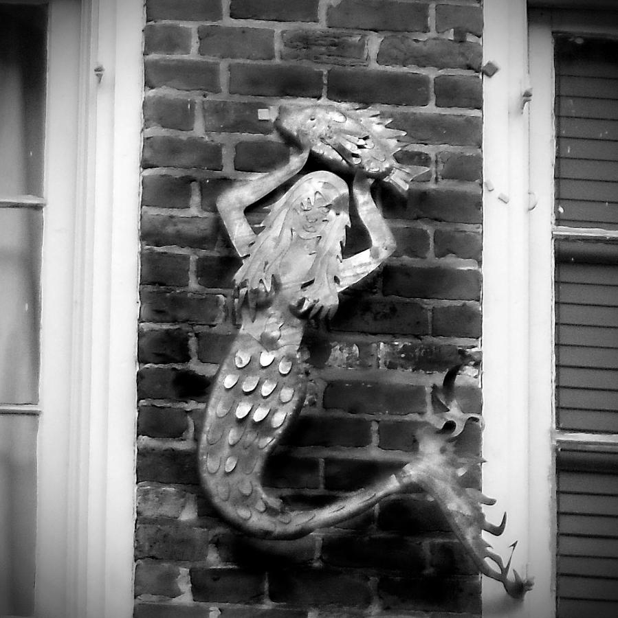 New Orleans Photograph - Mermaid by Richelle Munzon