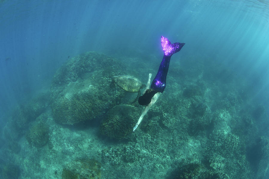 Mermaid Swimming Underwater, Hawaii, Usa Photograph by Panoramic Images ...