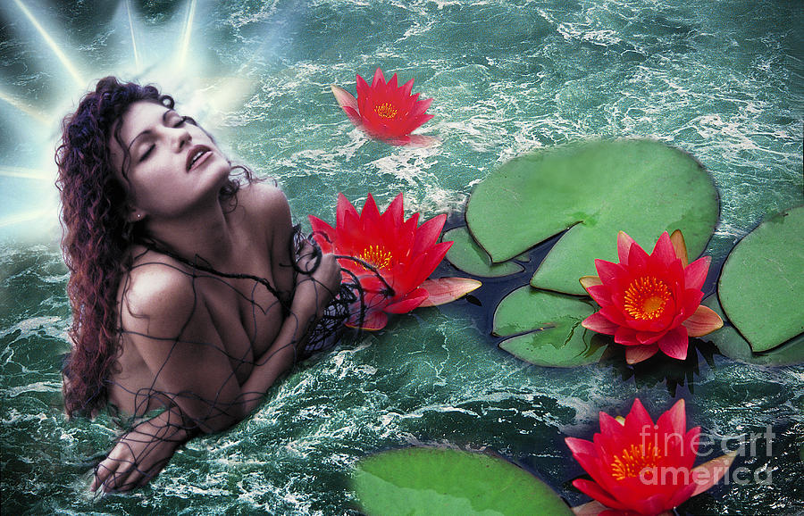 Mermaid Photograph - Mermeid and Water Lilies by Renata Ratajczyk