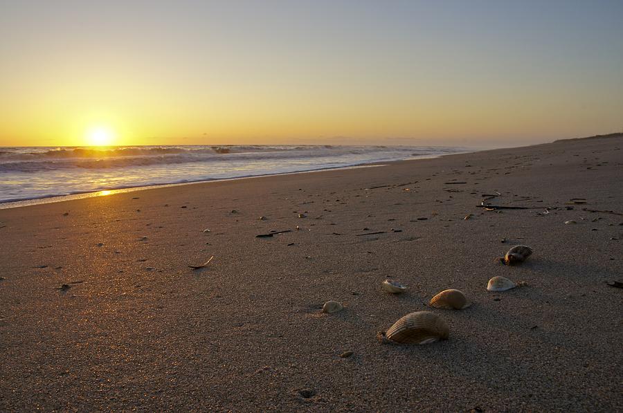 Merritt Island Shells and Sun Photograph by Brian Kamprath