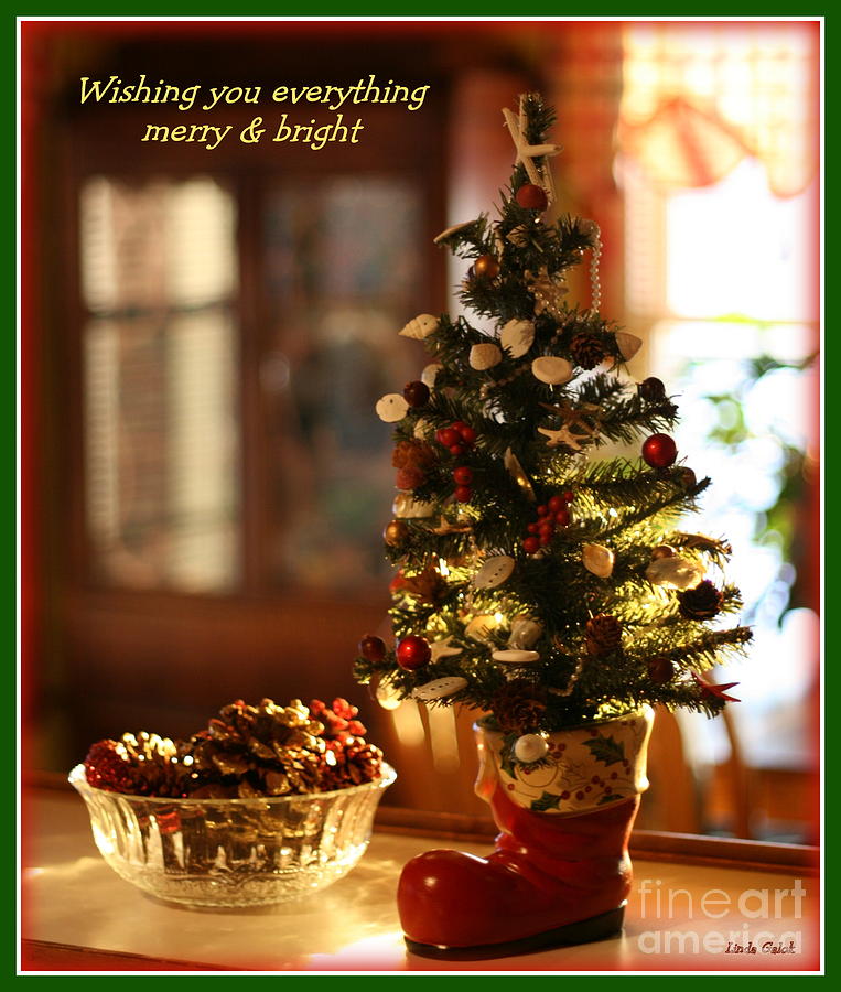 Christmas Photograph - Merry and Bright Christmas Card by Linda Galok