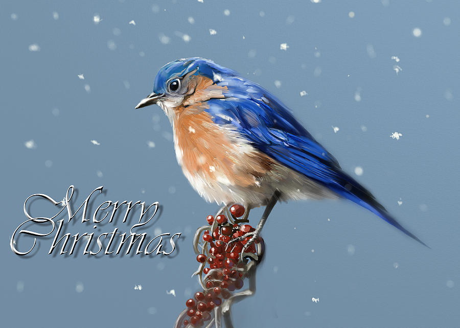 Merry Christmas - Bluebird Digital Art by Arie Van der Wijst