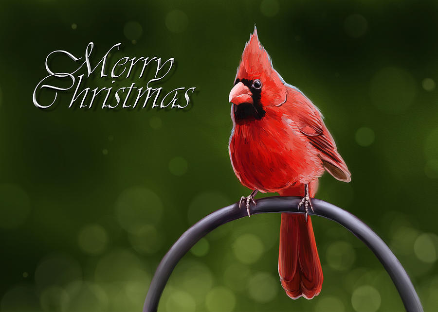 Cardinal Digital Art - Merry Christmas - Red Cardinal by Arie Van der Wijst