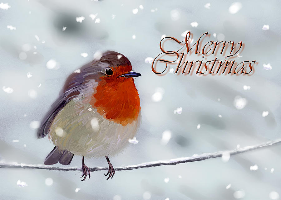 Merry Christmas - Robin Digital Art by Arie Van der Wijst