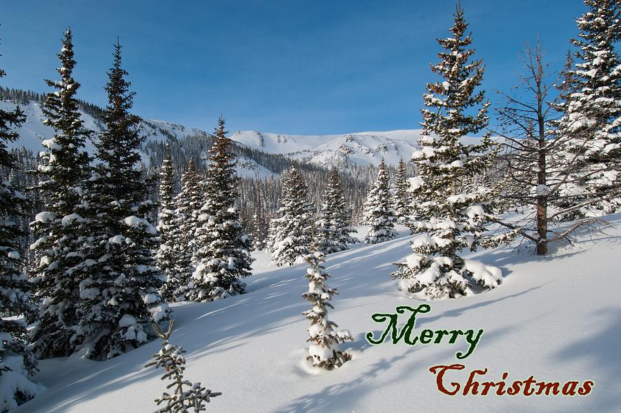 Merry Christmas - Winter Wonderland Photograph by Cascade Colors