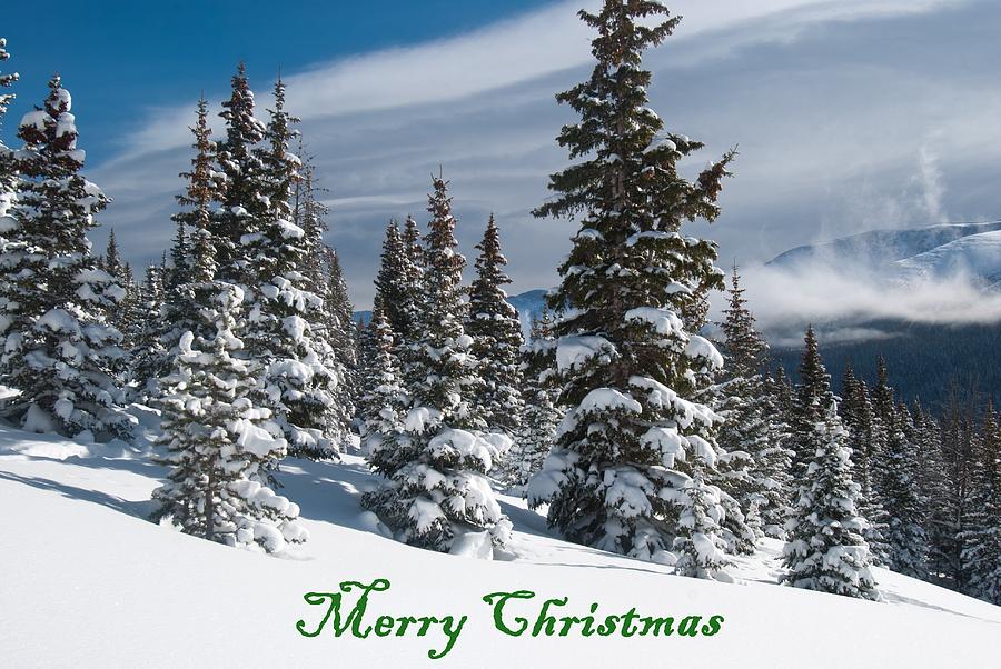Merry Christmas - Winter Trees and Rising Clouds Photograph by Cascade Colors