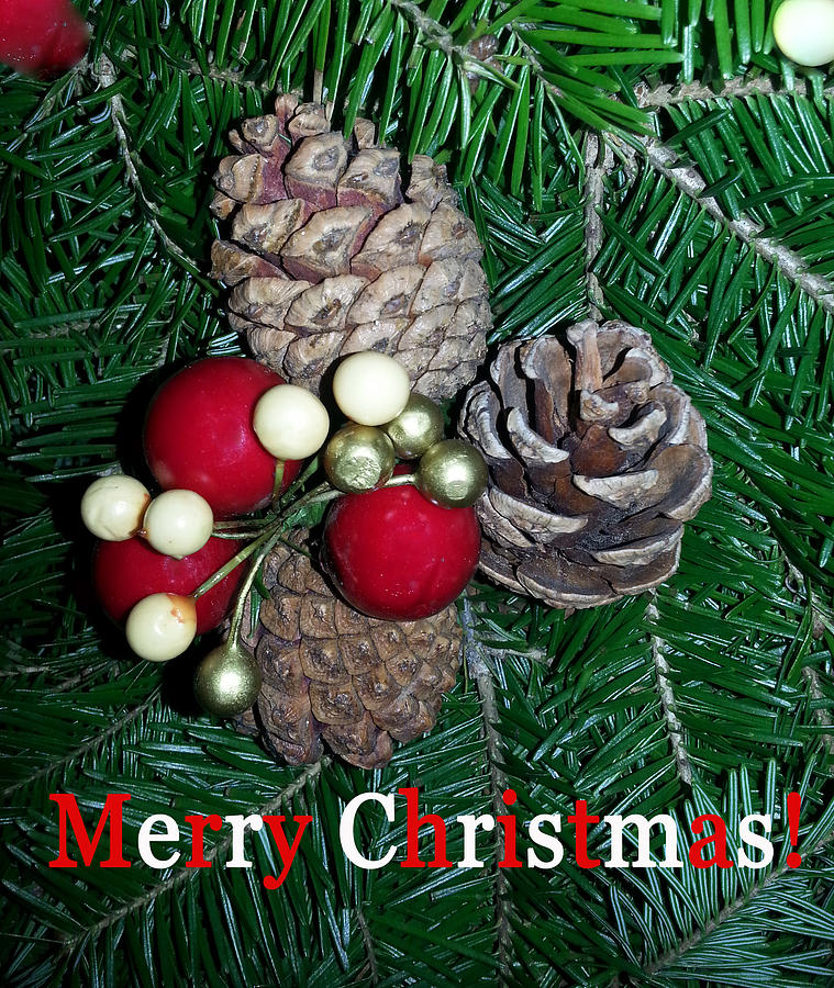 Merry Christmas Photograph - Merry Christmas 3 by Emmy Vickers