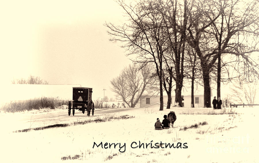 Merry Christmas Amish Kids at Play Photograph by David Arment