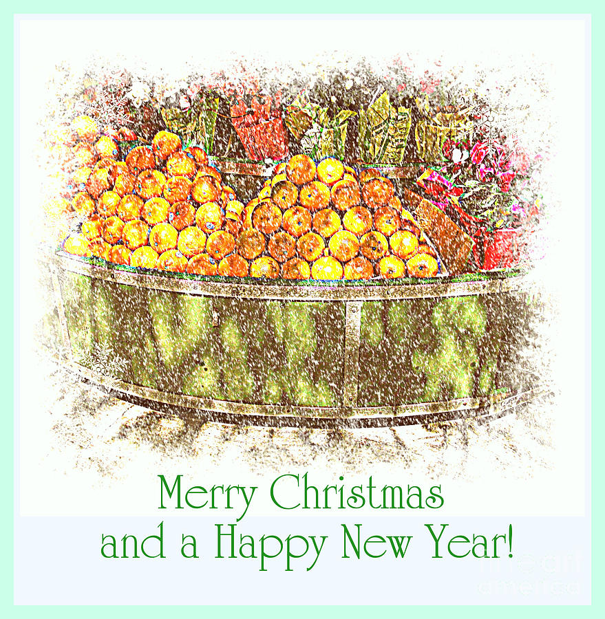 Merry Christmas and a Happy New Year - Fruit and Flowers in the Snow - Holiday and Christmas Card Photograph by Miriam Danar