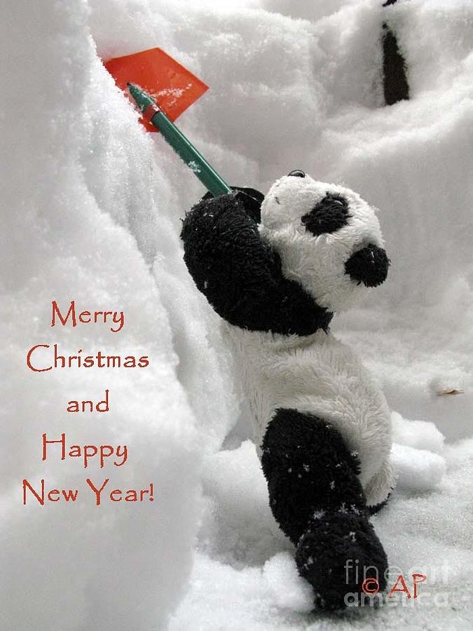 Christmas Photograph - Merry Christmas And Happy New Year from Ginny The Baby Panda by Ausra Huntington nee Paulauskaite