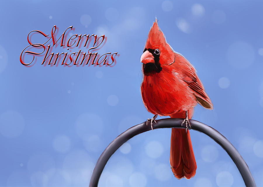 Cardinal Digital Art - Merry Christmas by Arie Van der Wijst
