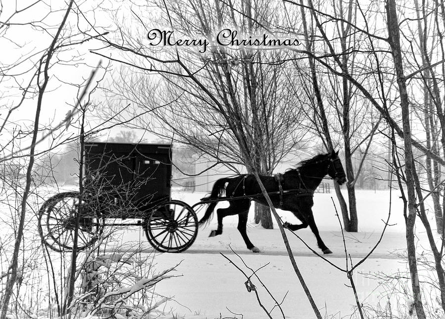 Amish Photograph - Merry Christmas Buggy by David Arment