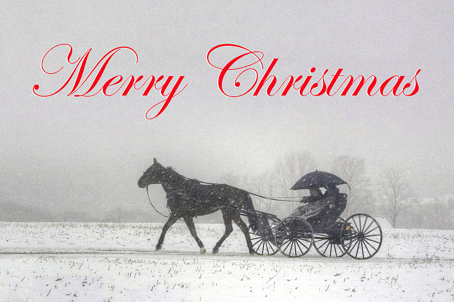 Holiday Photograph - Merry Christmas Buggy Ride - Card by Gene Walls