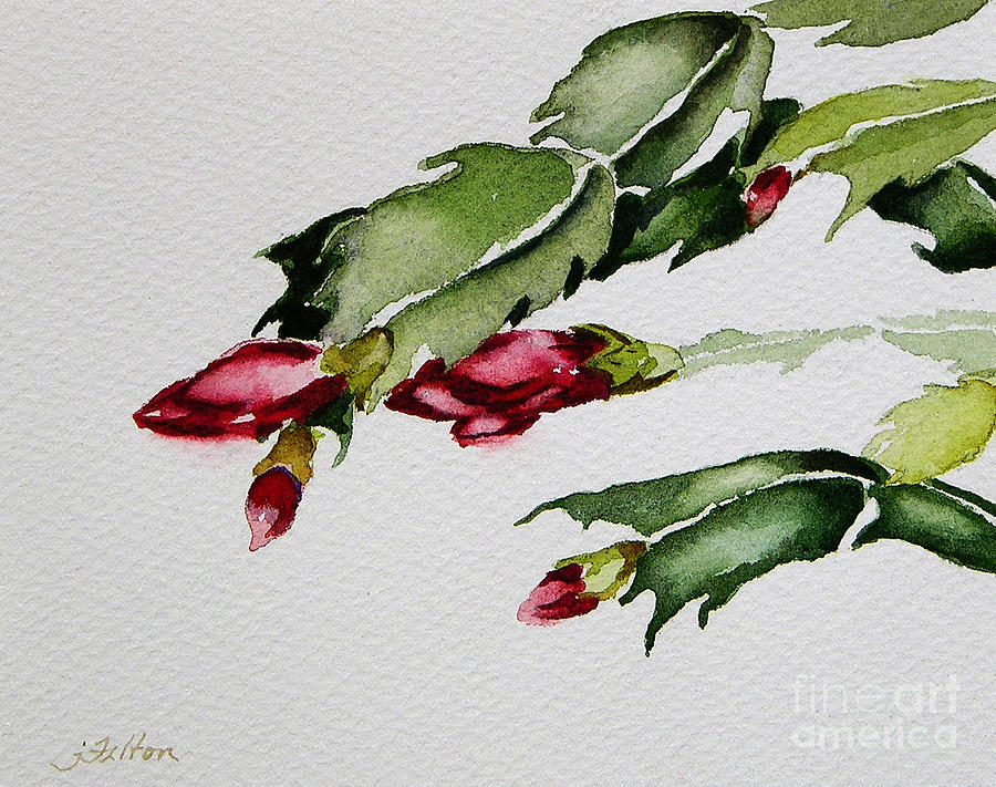 Merry Christmas Cactus 2013 Painting by Julianne Felton