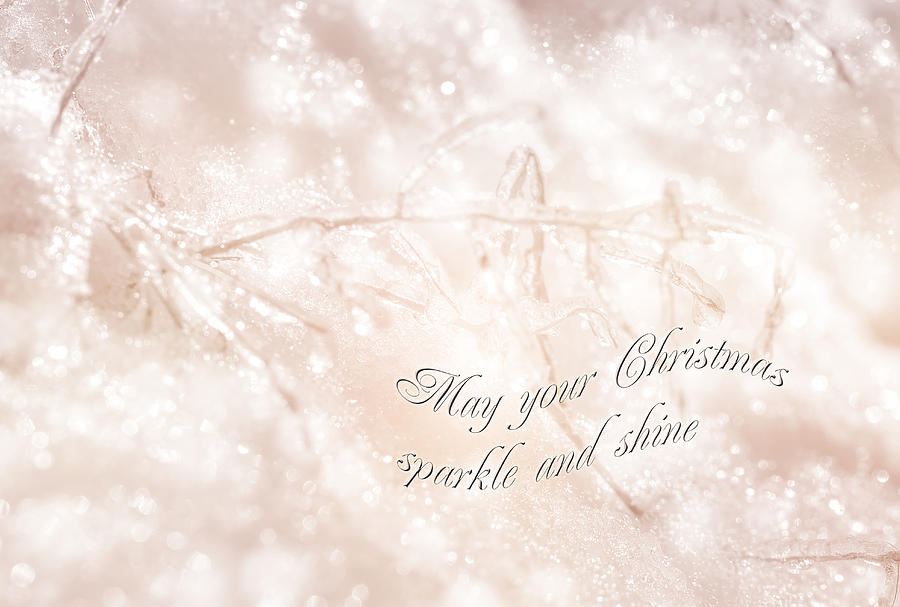 Merry Christmas Card - Crystal Wonderland Photograph by Carol Senske