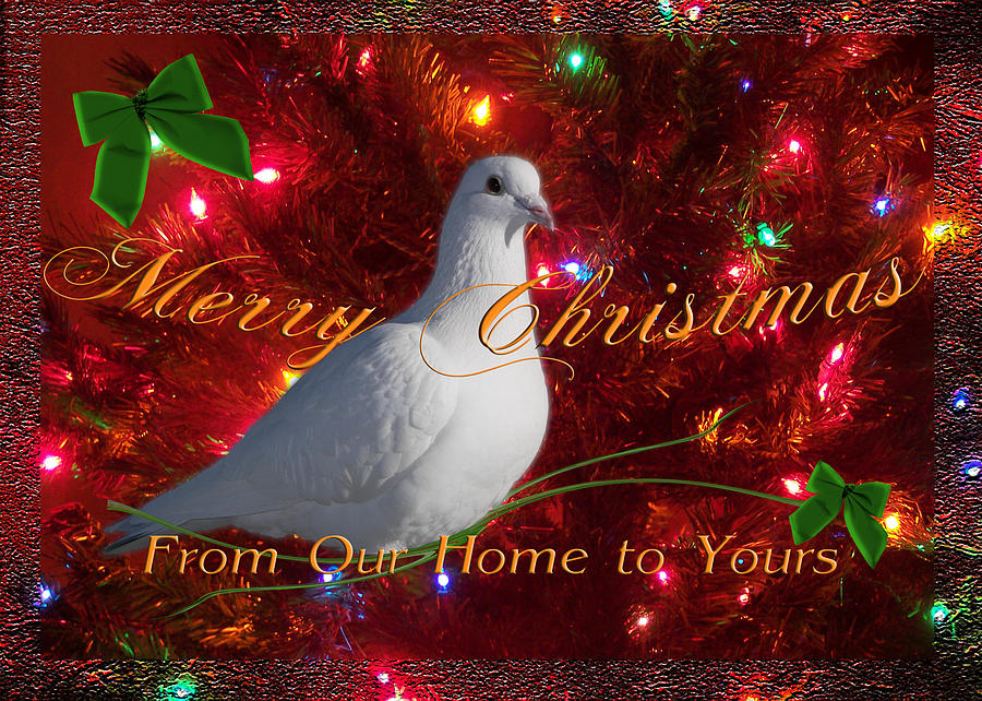 Merry Christmas Dove Digital Art by J C Edwards | Fine Art America