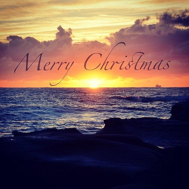 Merry Christmas From Sydney Australia Photograph by Pauly Vella