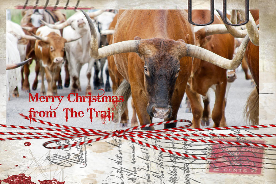 Merry Christmas from The Trail Photograph by Toni Hopper