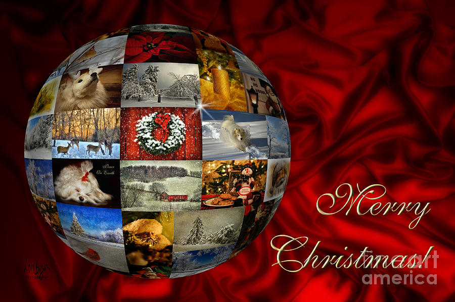 Merry Christmas Globe Digital Art by Lois Bryan