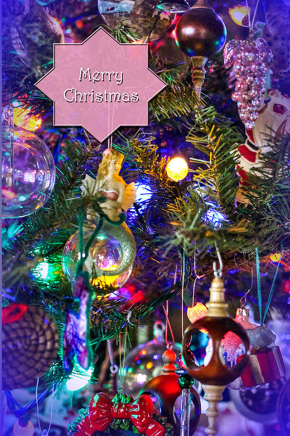 Merry Christmas Greeting Card - Decorated Tree #2 Photograph by Carol