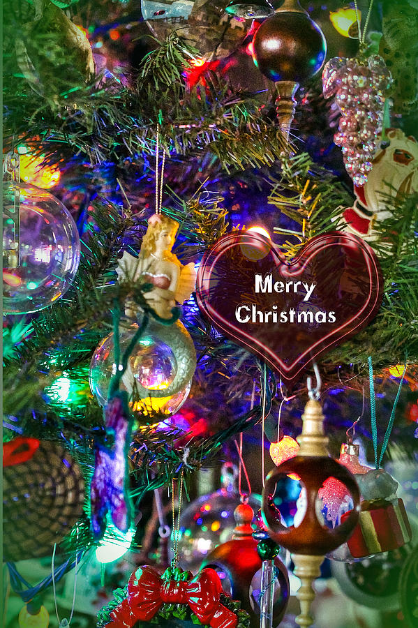 Merry Christmas Greeting Card - Decorated Tree #3 Photograph by Carol