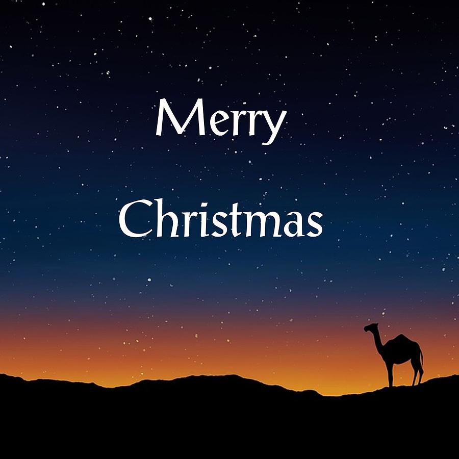Merry Christmas Night Digital Art by Florene Welebny