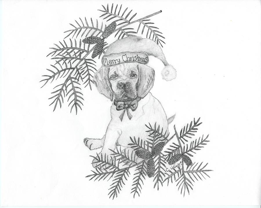 Hat Drawing - Merry Christmas Puppy by Carolann Van de Ligt